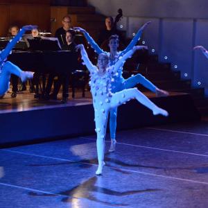 Fotografía de El carnaval de los animales - Conservatorio de Danza