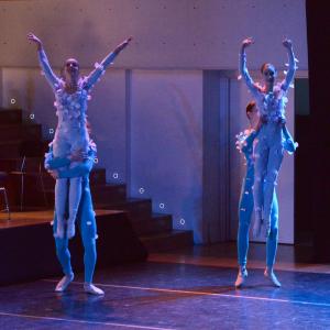 Fotografía de El carnaval de los animales - Conservatorio de Danza