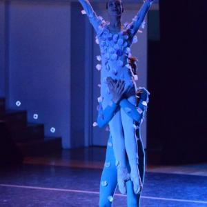 Fotografía de El carnaval de los animales - Conservatorio de Danza