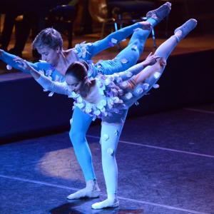 Fotografía de El carnaval de los animales - Conservatorio de Danza