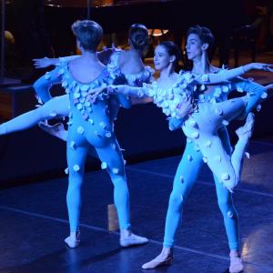 Fotografía de El carnaval de los animales - Conservatorio de Danza