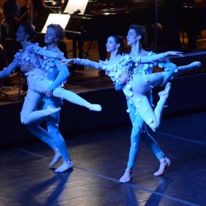 Fotografía de El carnaval de los animales - Conservatorio de Danza