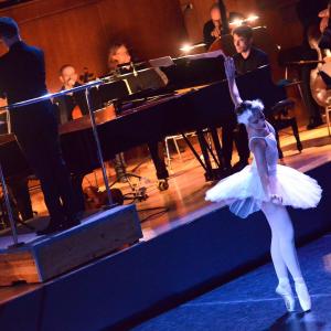 Fotografía de El carnaval de los animales - Conservatorio de Danza