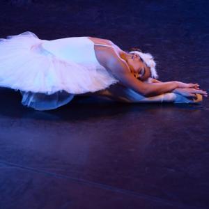 Fotografía de El carnaval de los animales - Conservatorio de Danza