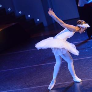 Fotografía de El carnaval de los animales - Conservatorio de Danza