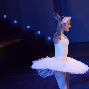 Fotografía de El carnaval de los animales - Conservatorio de Danza