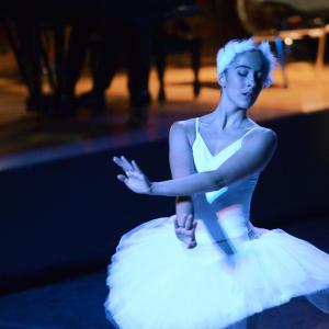 Fotografía de El carnaval de los animales - Conservatorio de Danza