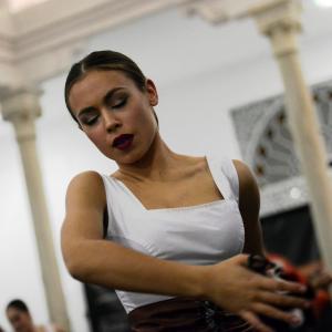 Fotografía de IX edición del festival “Flamenco y Cultura: De la Raíz a la Vanguardia - Conservatorio de Danza