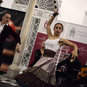 Fotografía de IX edición del festival “Flamenco y Cultura: De la Raíz a la Vanguardia - Conservatorio de Danza