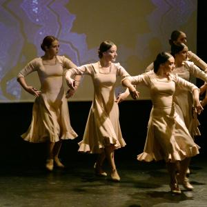 Fotografía de IX edición del festival “Flamenco y Cultura: De la Raíz a la Vanguardia - Conservatorio de Danza