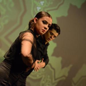 Fotografía de IX edición del festival “Flamenco y Cultura: De la Raíz a la Vanguardia - Conservatorio de Danza