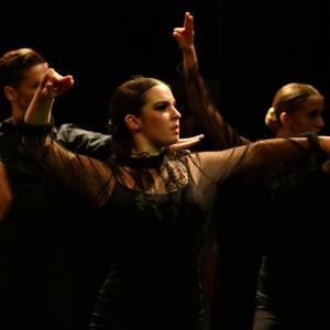 Fotografía de IX edición del festival “Flamenco y Cultura: De la Raíz a la Vanguardia - Conservatorio de Danza