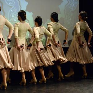 Fotografía de IX edición del festival “Flamenco y Cultura: De la Raíz a la Vanguardia - Conservatorio de Danza