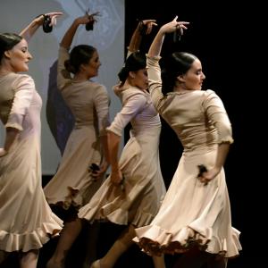 Fotografía de IX edición del festival “Flamenco y Cultura: De la Raíz a la Vanguardia - Conservatorio de Danza