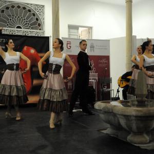 Fotografía de IX edición del festival “Flamenco y Cultura: De la Raíz a la Vanguardia - Conservatorio de Danza