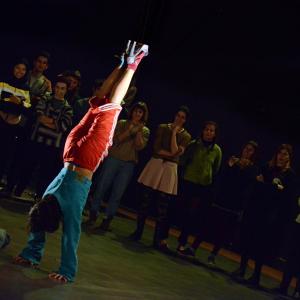 Fotografía de Festival CAU: Futuro animal - 