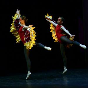 Fotografía de Concurso de coreografías: Clásico y contemporáneo. Nivel I - Conservatorio de Danza