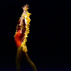 Fotografía de Concurso de coreografías: Clásico y contemporáneo. Nivel I - Conservatorio de Danza