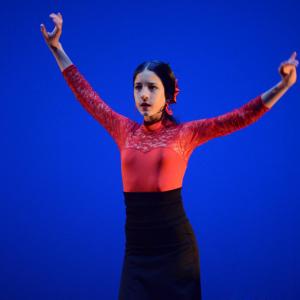 Fotografía de Concurso de coreografías: Español y flamenco.. Nivel I - Conservatorio de Danza