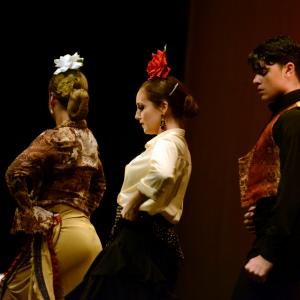 Fotografía de Concurso de coreografías: Español y flamenco.. Nivel I - Conservatorio de Danza