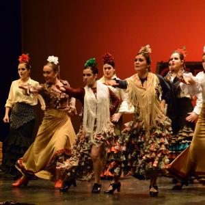 Fotografía de Concurso de coreografías: Español y flamenco.. Nivel I - Conservatorio de Danza