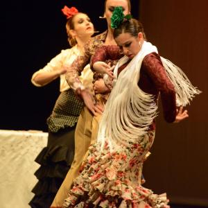 Fotografía de Concurso de coreografías: Español y flamenco.. Nivel I - Conservatorio de Danza