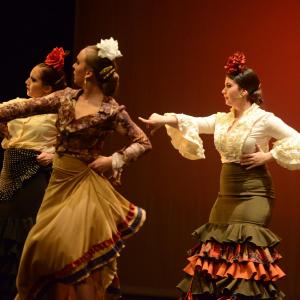 Fotografía de Concurso de coreografías: Español y flamenco.. Nivel I - Conservatorio de Danza