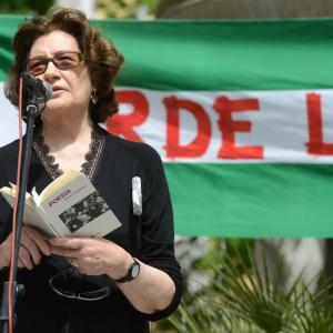 Fotografía de Arde la memoria - Granada abierta