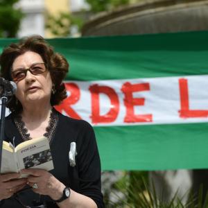 Fotografía de Arde la memoria - Granada abierta