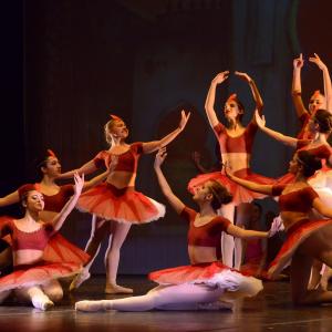 Fotografía de Talleres Danza clásica - Conservatorio de Danza