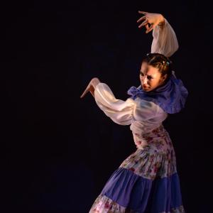 Fotografía de Talleres de Danza Española y flamenco - Conservatorio de Danza