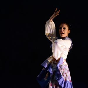Fotografía de Talleres de Danza Española y flamenco - Conservatorio de Danza