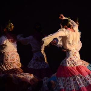 Fotografía de Talleres de Danza Española y flamenco - Conservatorio de Danza