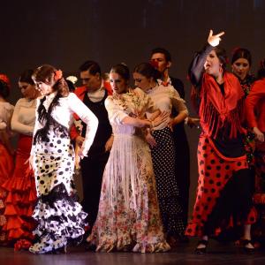 Fotografía de Talleres de Danza Española y flamenco - Conservatorio de Danza