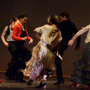 Fotografía de Talleres de Danza Española y flamenco - Conservatorio de Danza