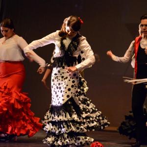 Fotografía de Talleres de Danza Española y flamenco - Conservatorio de Danza