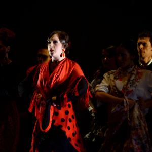 Fotografía de Talleres de Danza Española y flamenco - Conservatorio de Danza