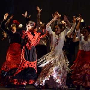 Fotografía de Talleres de Danza Española y flamenco - Conservatorio de Danza
