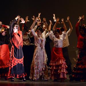 Fotografía de Talleres de Danza Española y flamenco - Conservatorio de Danza