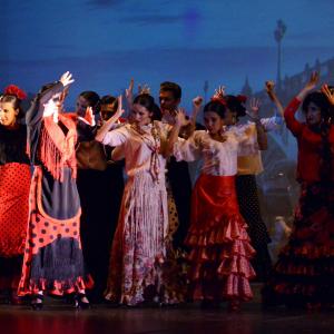 Fotografía de Talleres de Danza Española y flamenco - Conservatorio de Danza