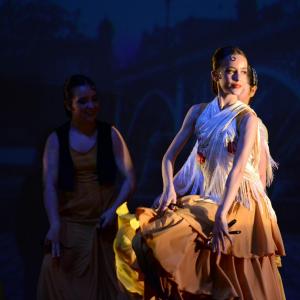 Fotografía de Talleres de Danza Española y flamenco - Conservatorio de Danza