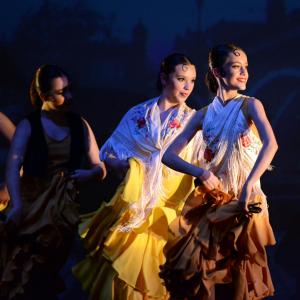 Fotografía de Talleres de Danza Española y flamenco - Conservatorio de Danza