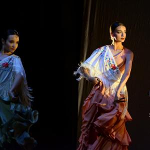 Fotografía de Talleres de Danza Española y flamenco - Conservatorio de Danza