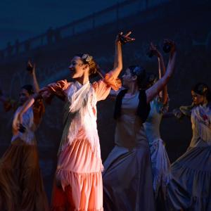 Fotografía de Talleres de Danza Española y flamenco - Conservatorio de Danza