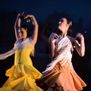 Fotografía de Talleres de Danza Española y flamenco - Conservatorio de Danza