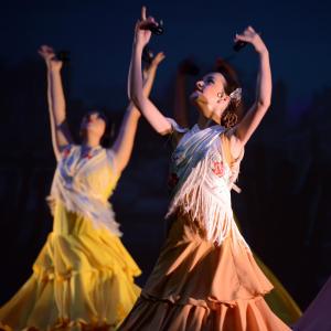 Fotografía de Talleres de Danza Española y flamenco - Conservatorio de Danza