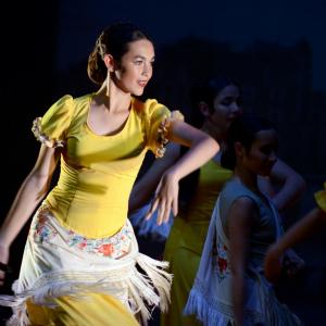 Fotografía de Talleres de Danza Española y flamenco - Conservatorio de Danza