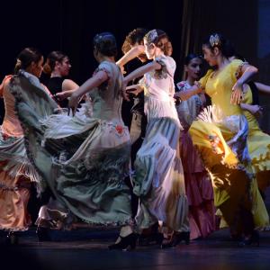 Fotografía de Talleres de Danza Española y flamenco - Conservatorio de Danza