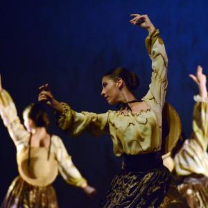 Fotografía de Talleres de Danza Española y flamenco - Conservatorio de Danza