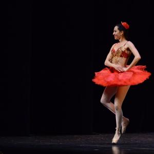Fotografía de La primavera es danza - Grupo de Danza Tiempo Presente